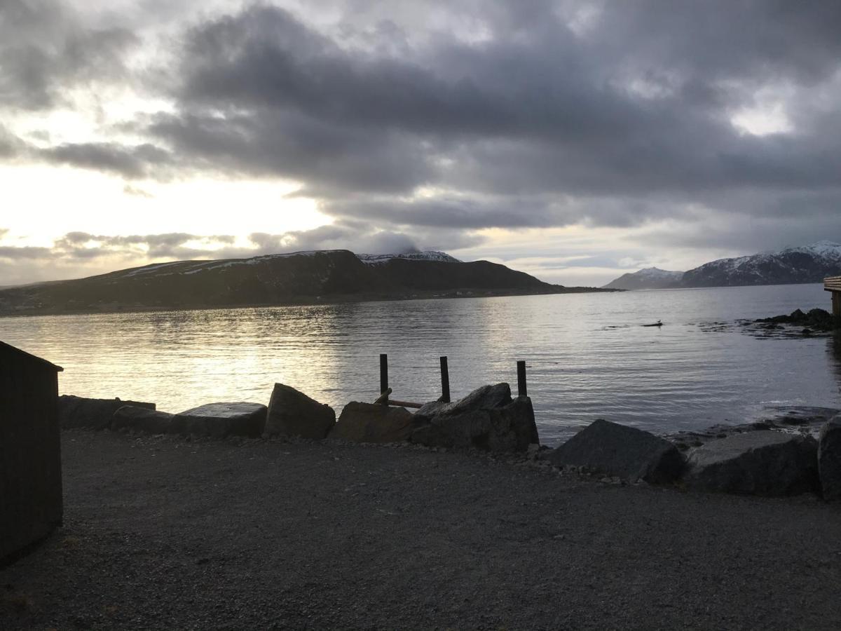 Lofoten Havfiske Leknes Bagian luar foto