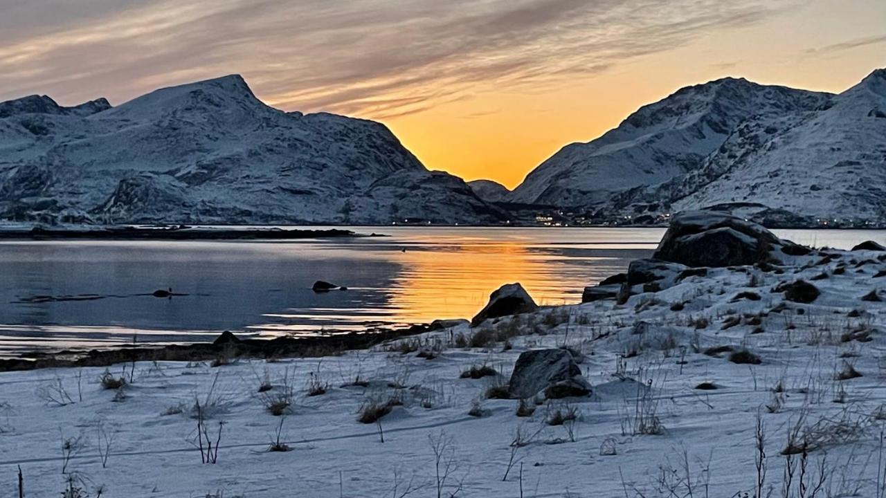 Lofoten Havfiske Leknes Bagian luar foto