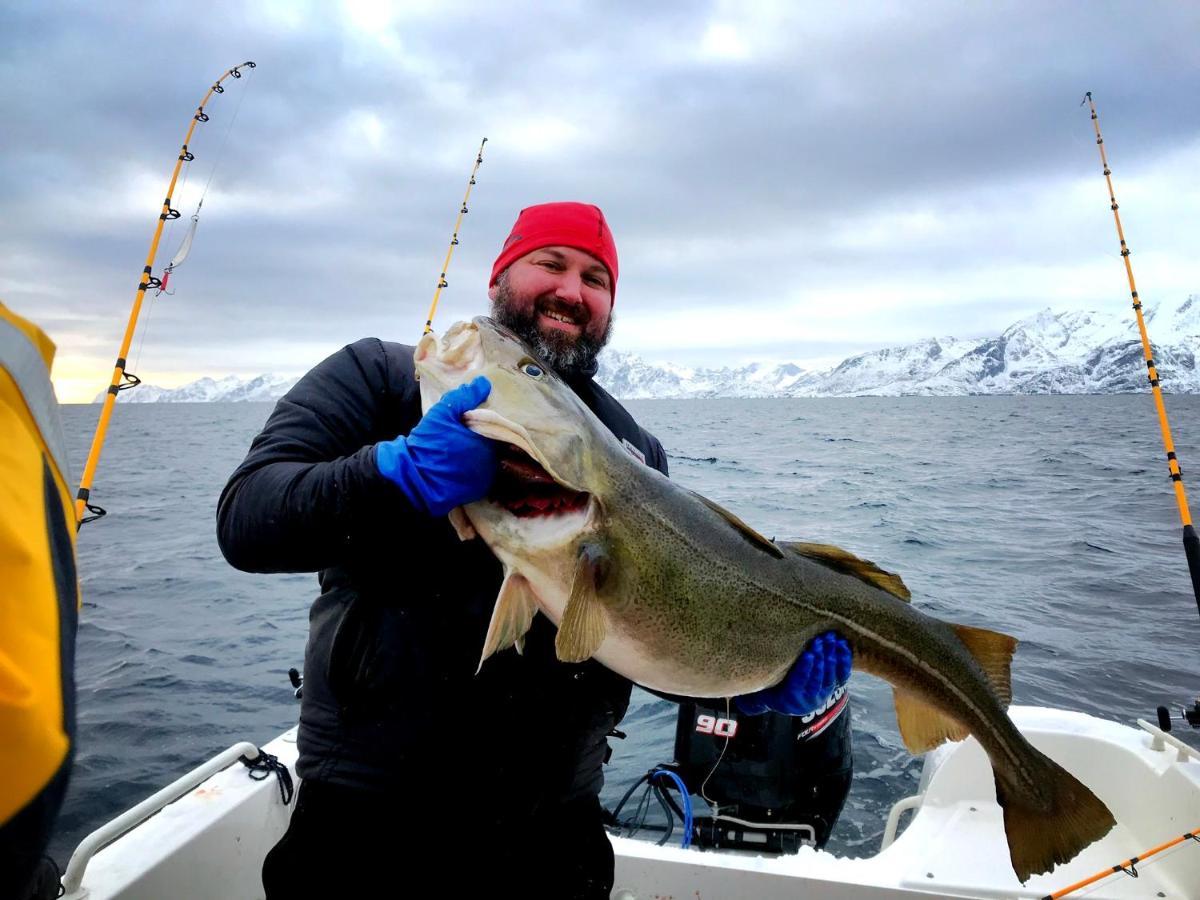 Lofoten Havfiske Leknes Bagian luar foto