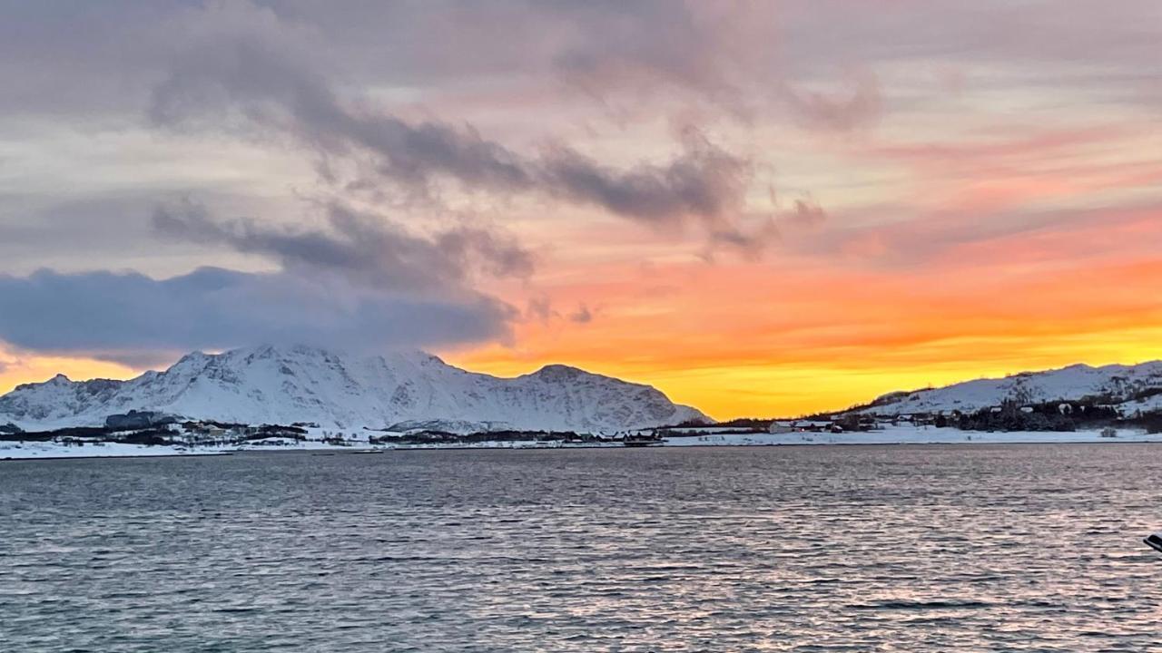 Lofoten Havfiske Leknes Bagian luar foto