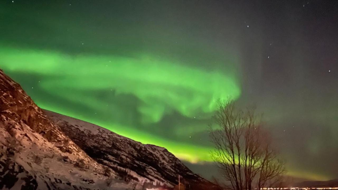 Lofoten Havfiske Leknes Bagian luar foto