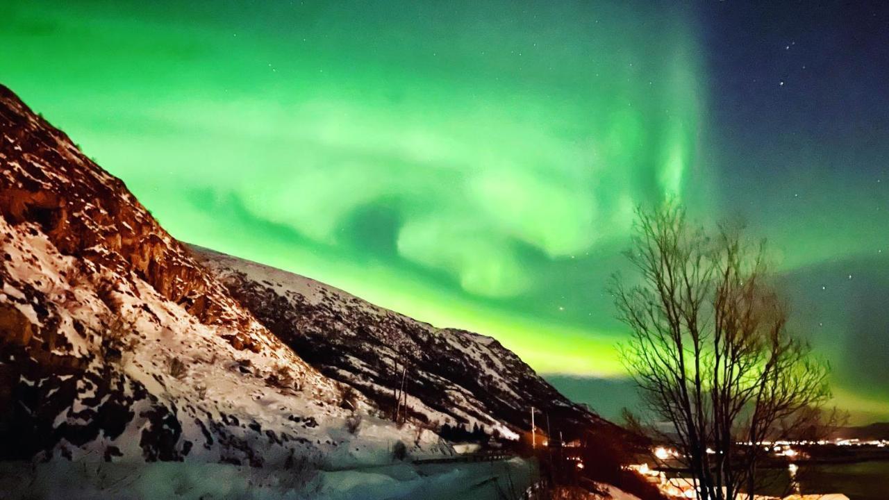 Lofoten Havfiske Leknes Bagian luar foto