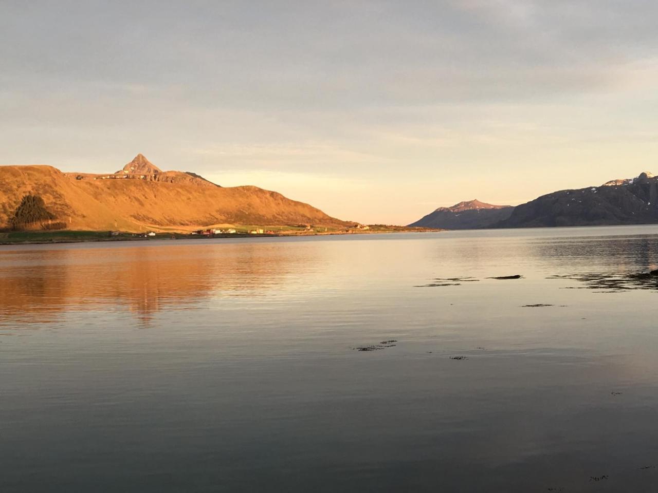 Lofoten Havfiske Leknes Bagian luar foto