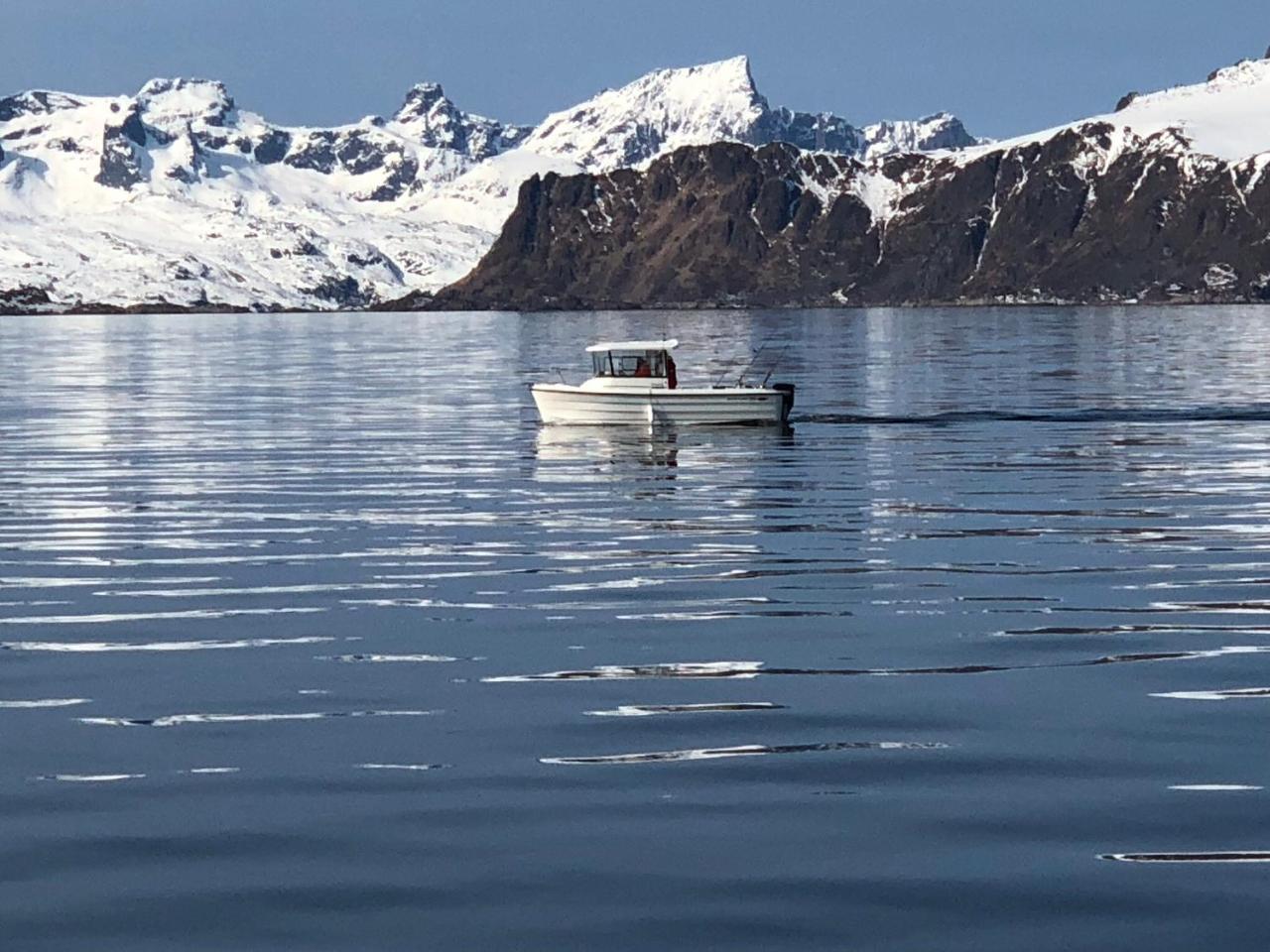 Lofoten Havfiske Leknes Bagian luar foto