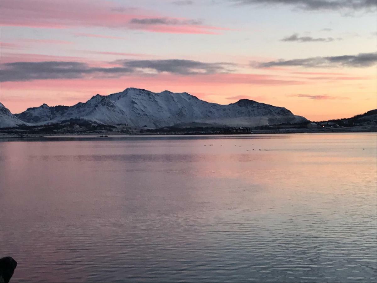 Lofoten Havfiske Leknes Bagian luar foto